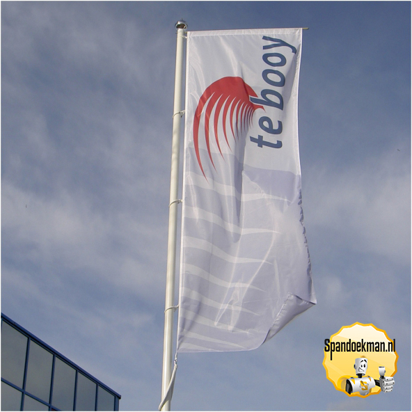 Banier Polyester Full-color 80x300cm