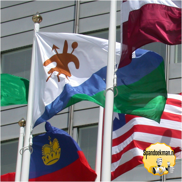 Vlag Spunpoly Full-color 100x70cm LONGLIFE x3